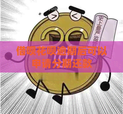 信用卡白条逾期后可以申请分期还款