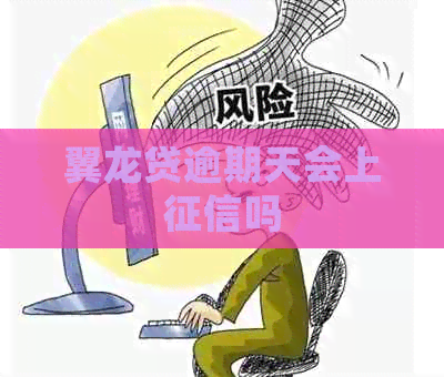 翼龙贷逾期天会上吗