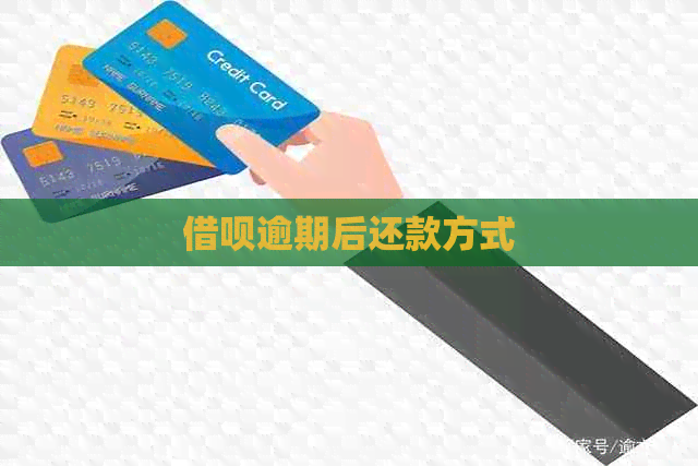 信用卡逾期后还款方式