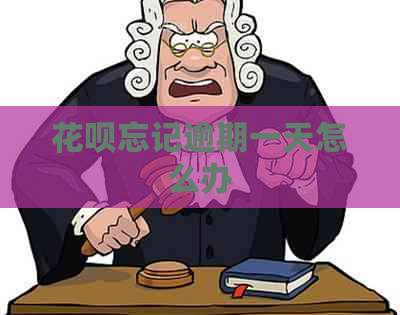 白条忘记逾期一天怎么办