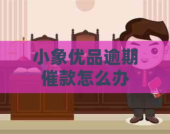小象优品逾期催款怎么办