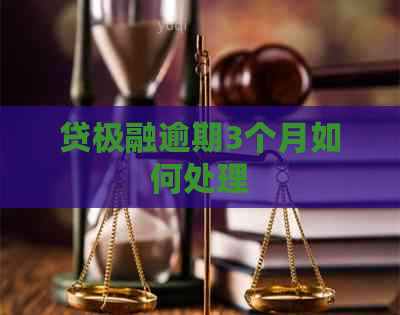 贷极融逾期3个月如何处理