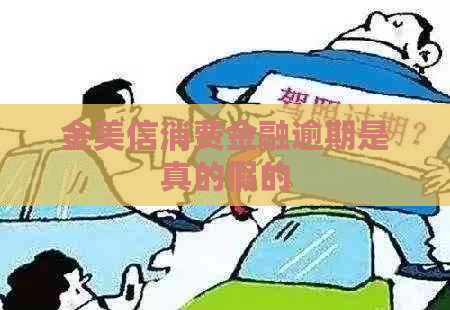 金美信消费金融逾期是真的假的