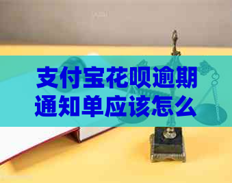 信用卡白条逾期通知单应该怎么处理