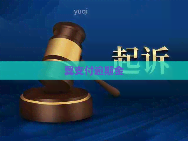 翼支付逾期金
