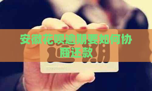 安徽白条逾期要如何协商还款