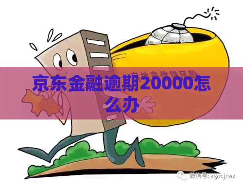 京东金融逾期20000怎么办
