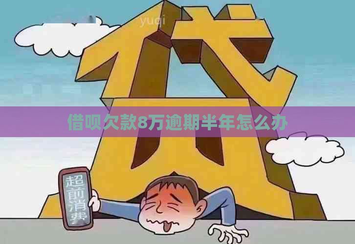 信用卡欠款8万逾期半年怎么办