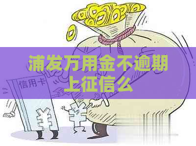 浦发万用金不逾期上么