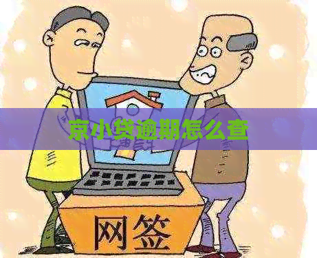 京小贷逾期怎么查