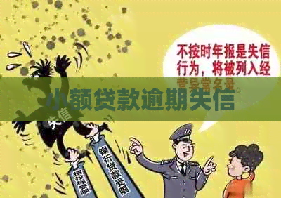 小额贷款逾期失信