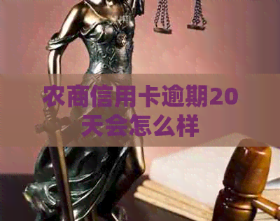 农商信用卡逾期20天会怎么样