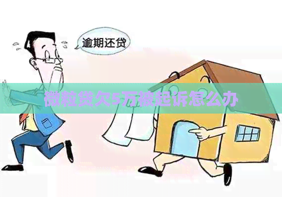 微粒贷欠5万被起诉怎么办