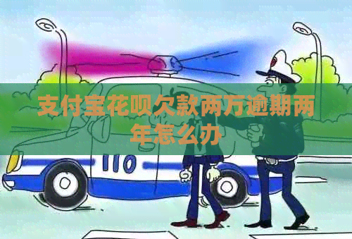 信用卡白条欠款两万逾期两年怎么办
