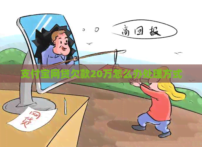 信用卡网贷欠款20万怎么办处理方式