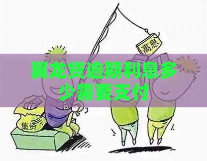 翼龙贷逾期利息多少需要支付