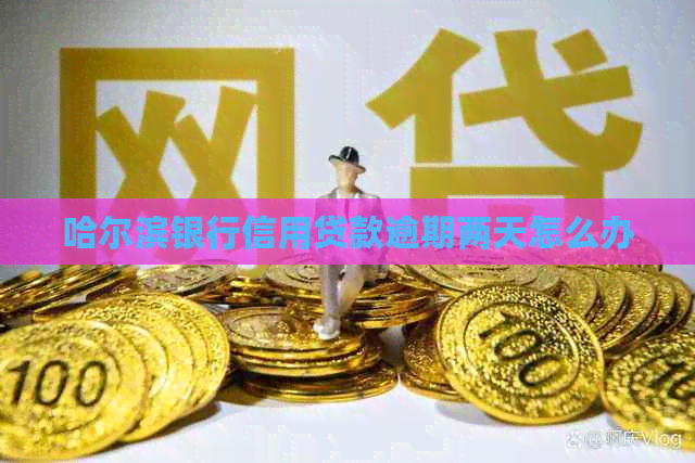 哈尔滨银行信用贷款逾期两天怎么办