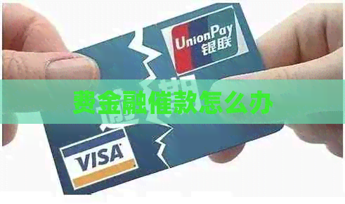 费金融催款怎么办