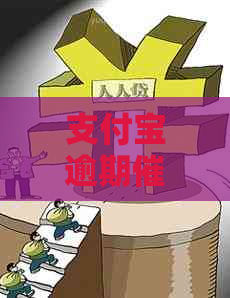 信用卡逾期信怎么办