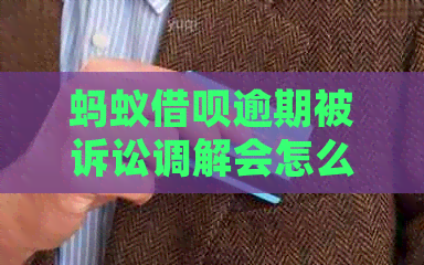 蚂蚁信用卡逾期被诉讼调解会怎么样