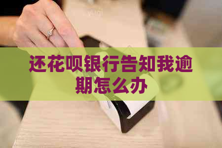 还白条银行告知我逾期怎么办