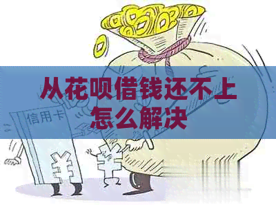 从白条借钱还不上怎么解决