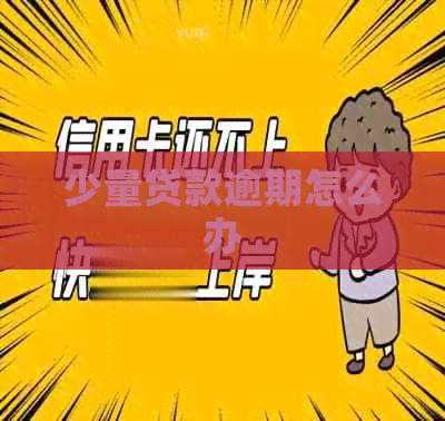 少量贷款逾期怎么办