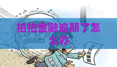拍拍金融逾期了怎么办