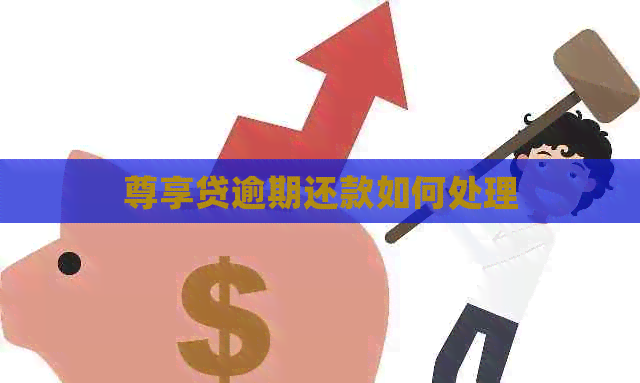尊享贷逾期还款如何处理