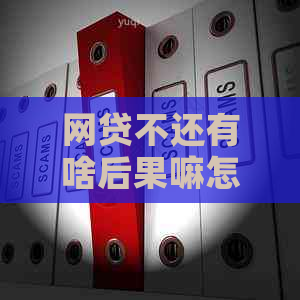 网贷不还有啥后果嘛怎么办 网贷不还有啥后果嘛怎么办