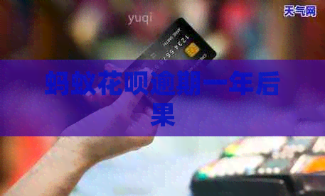 蚂蚁白条逾期一年后果