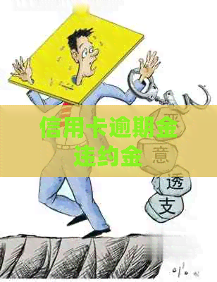 信用卡逾期金违约金 信用卡逾期金违约金