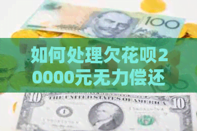 如何处理欠白条20000元无力偿还的情况