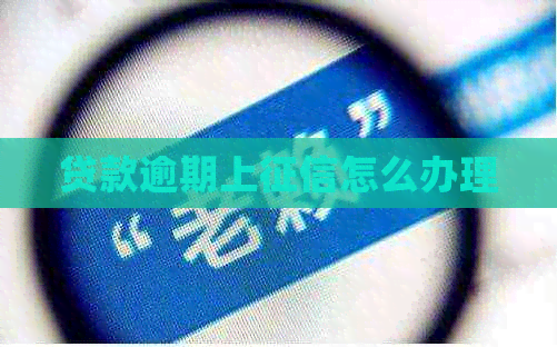 贷款逾期上怎么办理