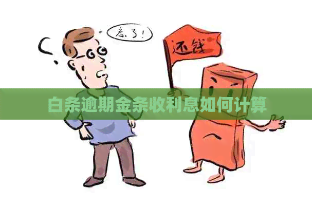 白条逾期金条收利息如何计算 白条逾期金条收利息如何计算