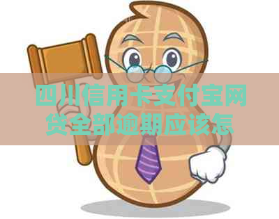 四川信用卡信用卡网贷全部逾期应该怎么办