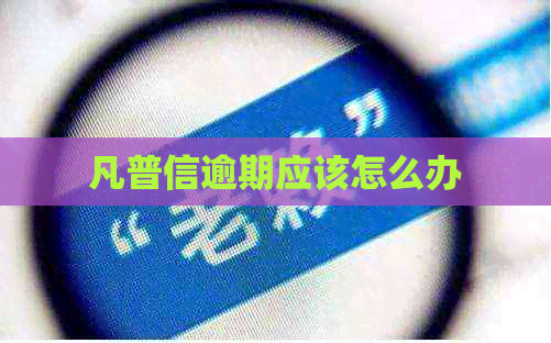 凡普信逾期应该怎么办