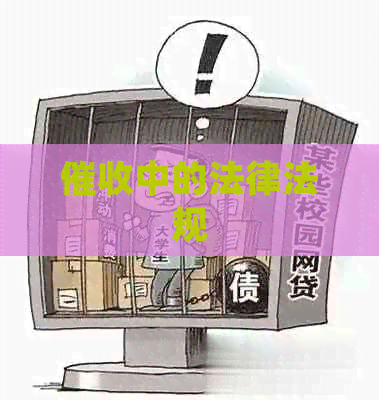 中的法律法规