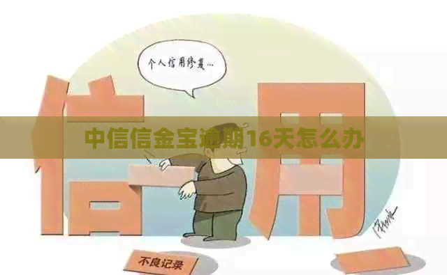 中信信金宝逾期16天怎么办