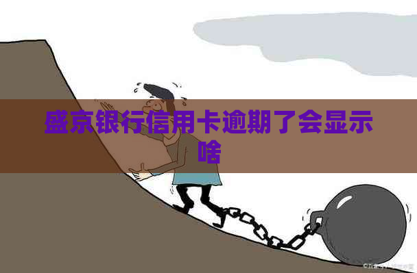 盛京银行信用卡逾期了会显示啥