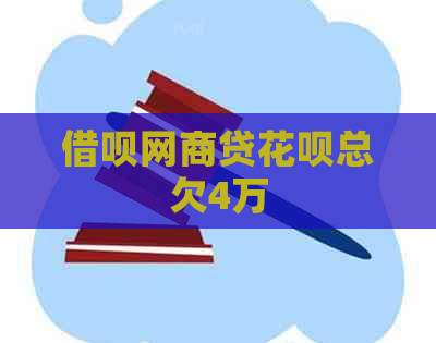 信用卡白条贷白条总欠4万