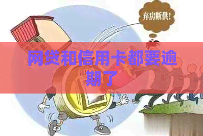 网贷和信用卡都要逾期了