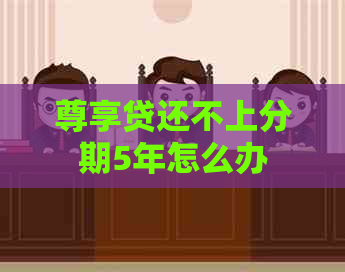 尊享贷还不上分期5年怎么办