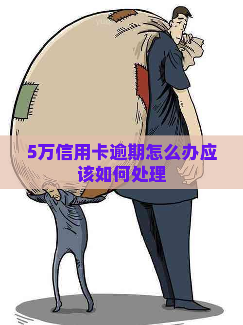 5万信用卡逾期怎么办应该如何处理