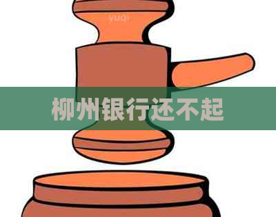 柳州银行还不起