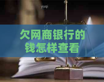 欠白条银行的钱怎样查看