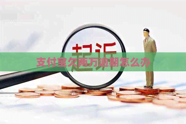 信用卡欠两万逾期怎么办