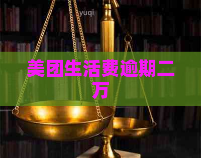 美团生活费逾期二万