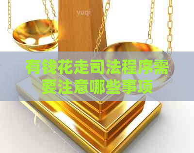 有钱花走司法程序需要注意哪些事项