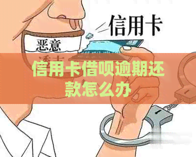 信用卡信用卡逾期还款怎么办